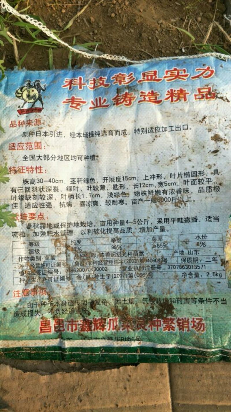 小叶茼蒿20~25cm