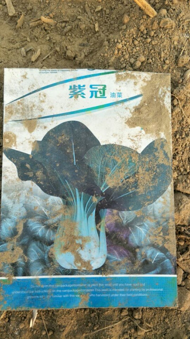 青梗菜2两以上