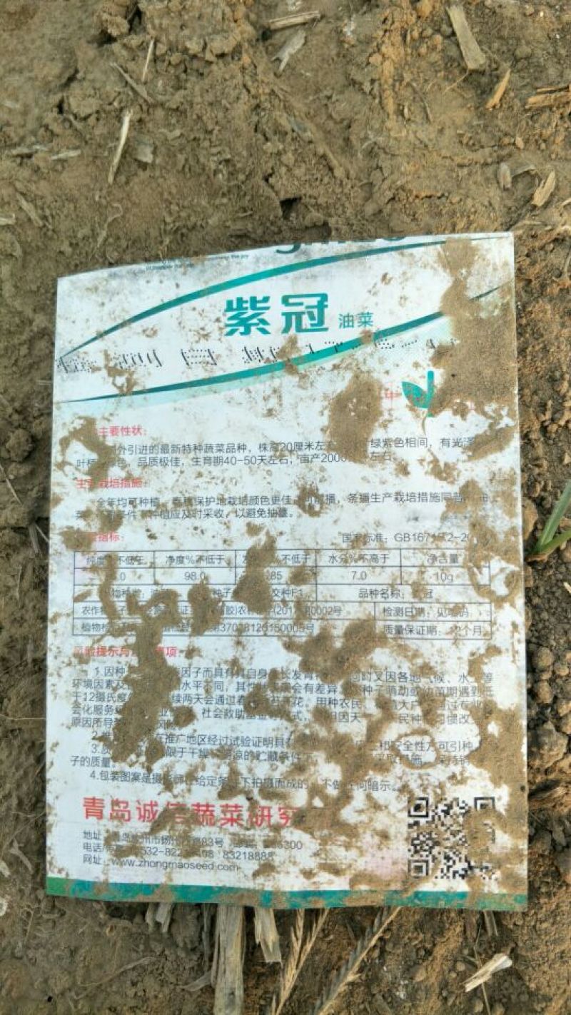 青梗菜2两以上