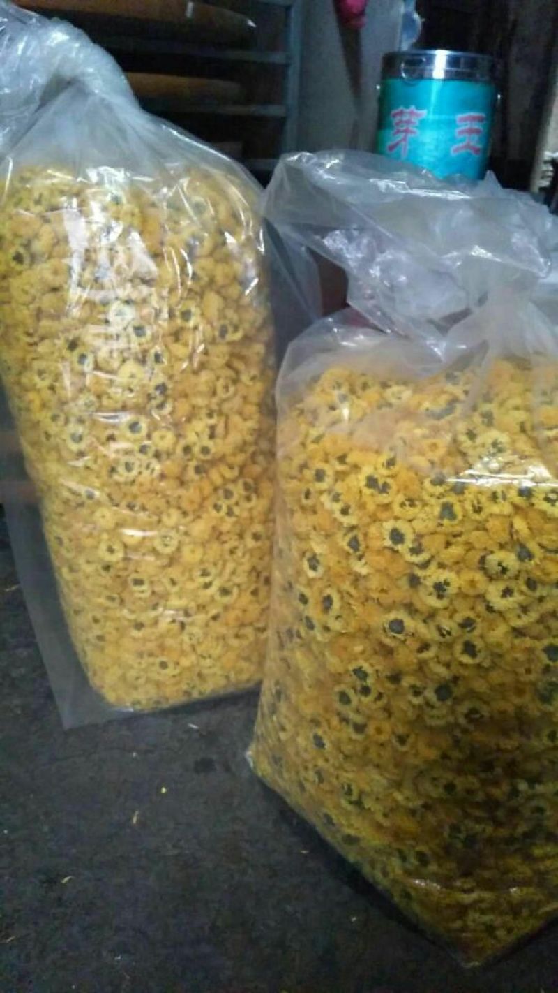 干菊花