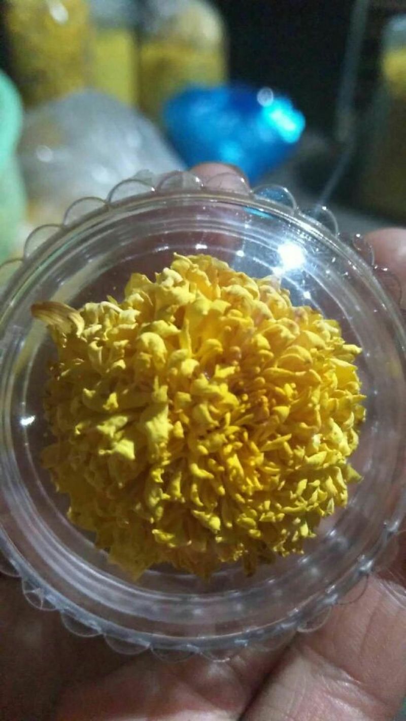 干菊花