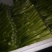 菜苔叶菜精品广东菜心