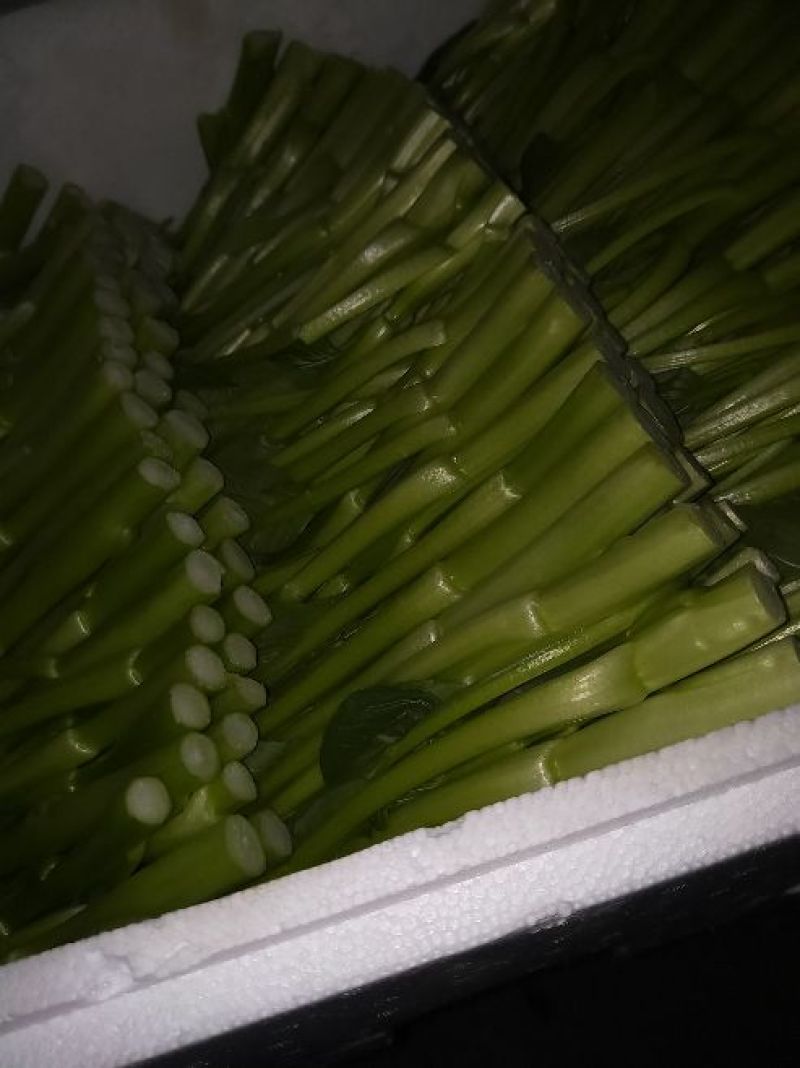 菜苔叶菜精品广东菜心