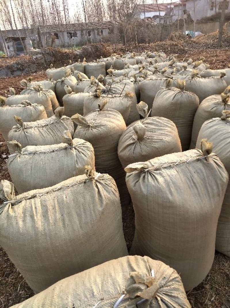 大象牛羊驴马鹿兔花生秧地瓜秧草段草料草粉