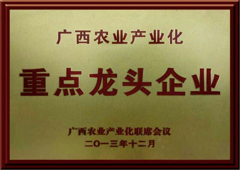 K9鸡苗脱温苗500克以上通货