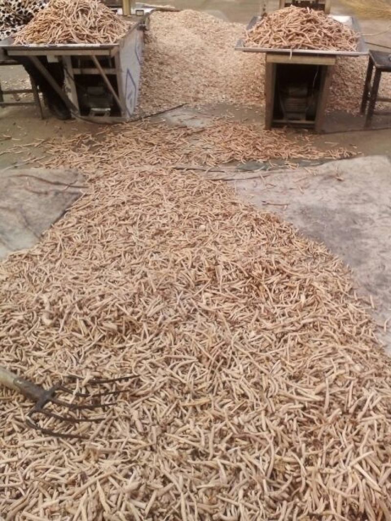 道地亳州白芍中片小片