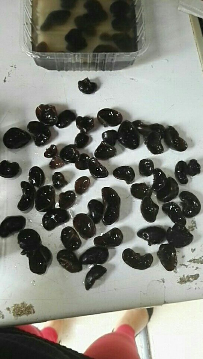 黑山秋耳一级