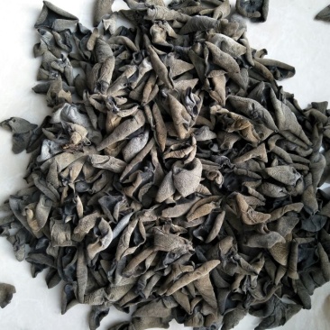 黑山秋耳一级