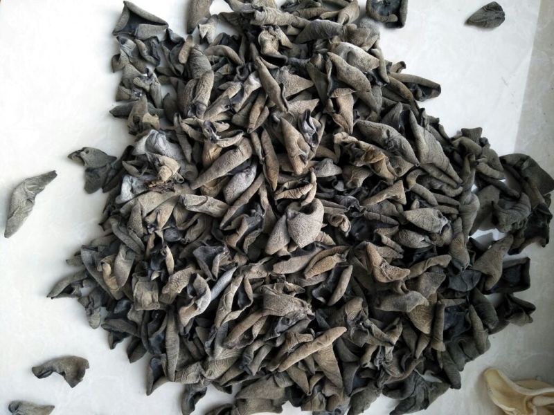 黑山秋耳一级