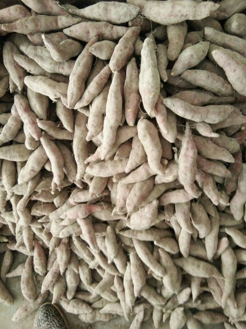天目小香薯3两以下小红薯红心香甜薯山芋糖心地瓜