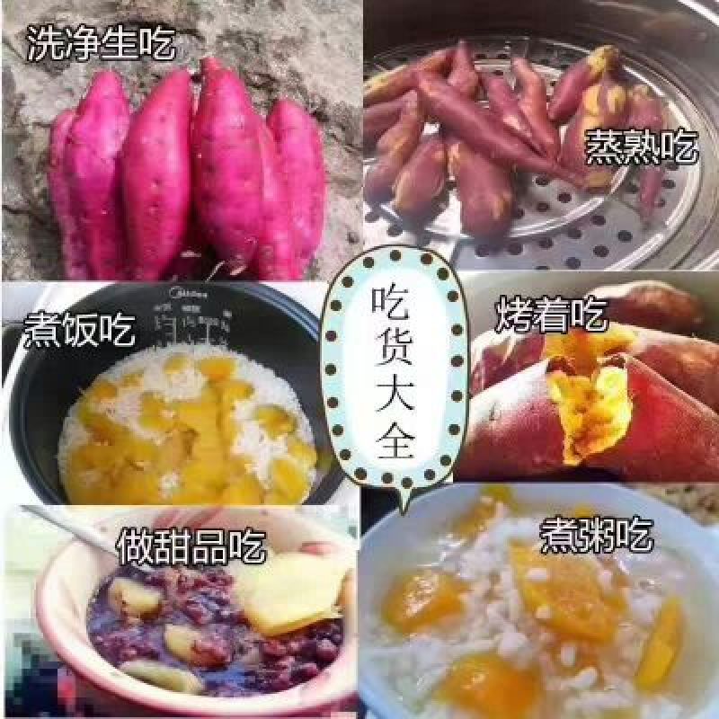 天目小香薯3两以下小红薯红心香甜薯山芋糖心地瓜