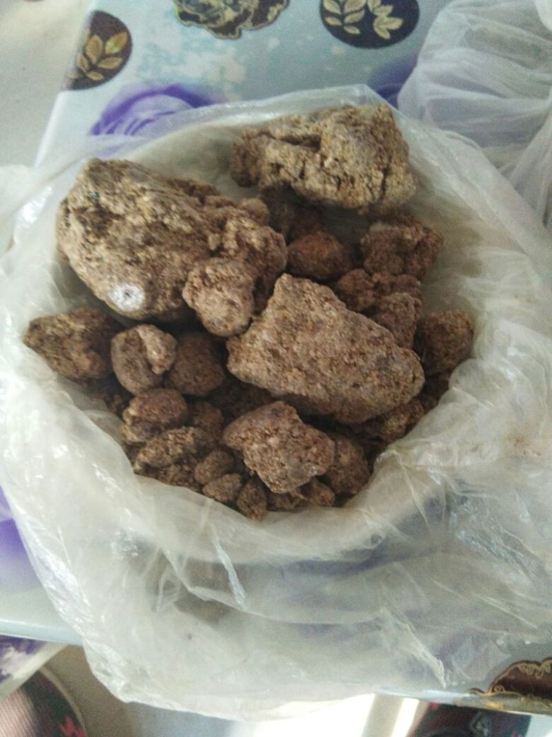 蜂胶天然蜂胶加工的胶囊