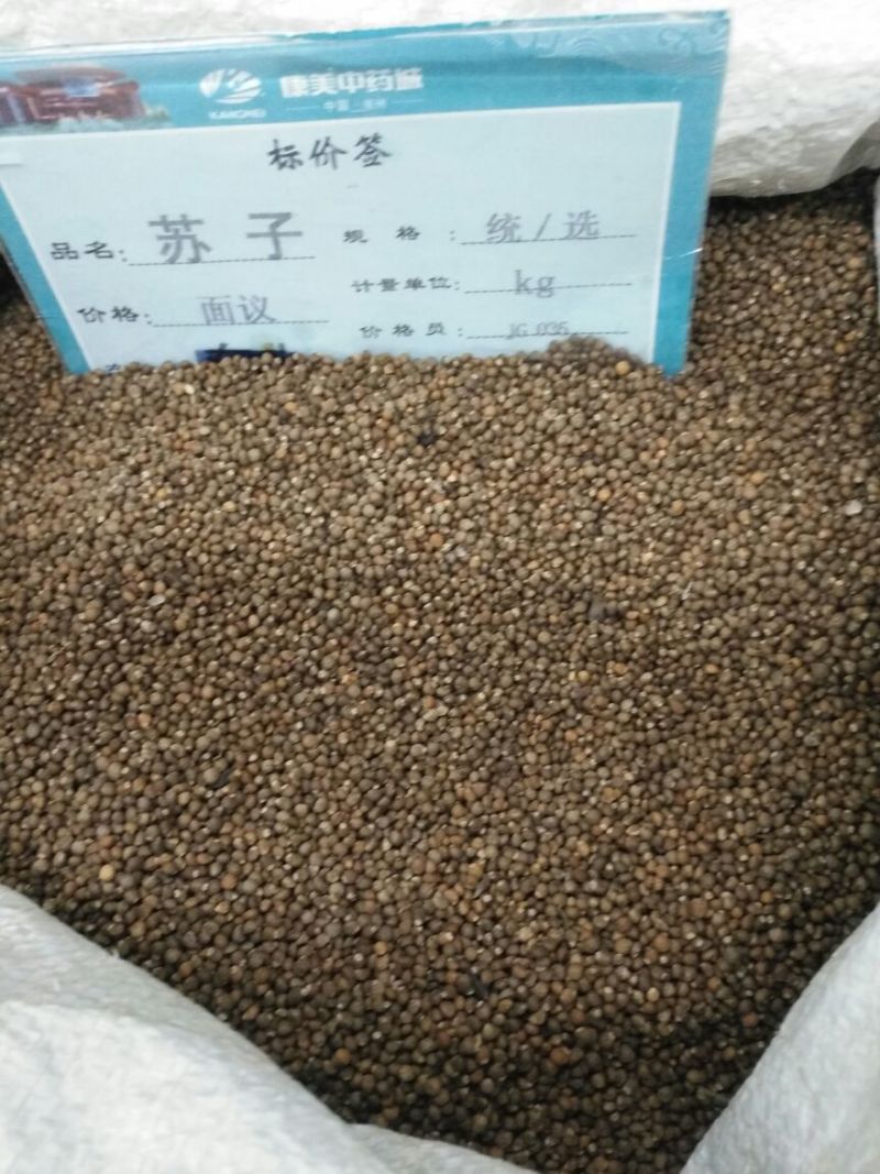 紫苏子河南1公斤起批无硫无添加不包邮正品