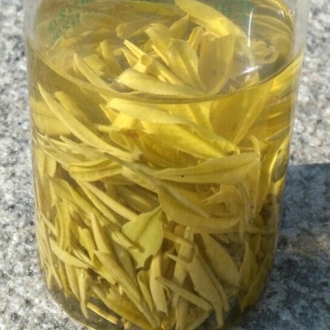 茶叶特级