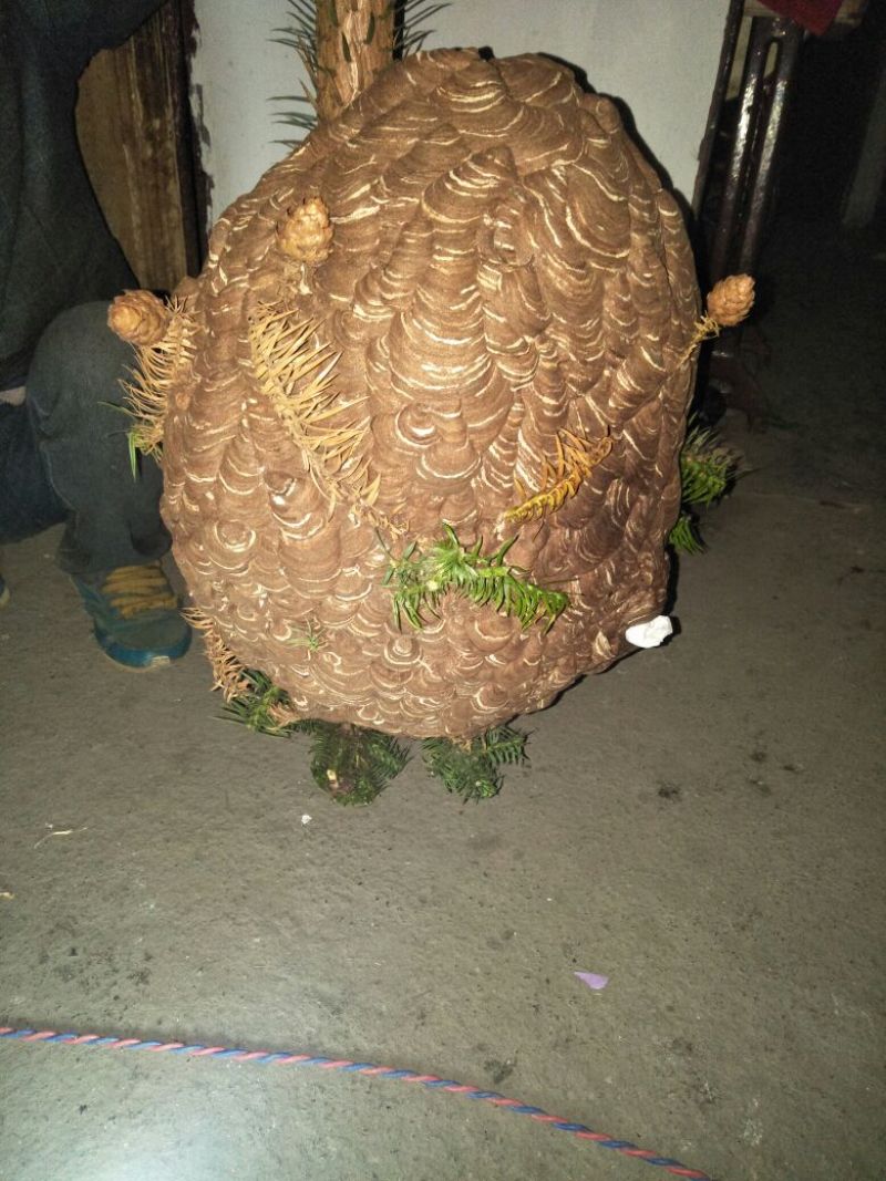 蜂巢