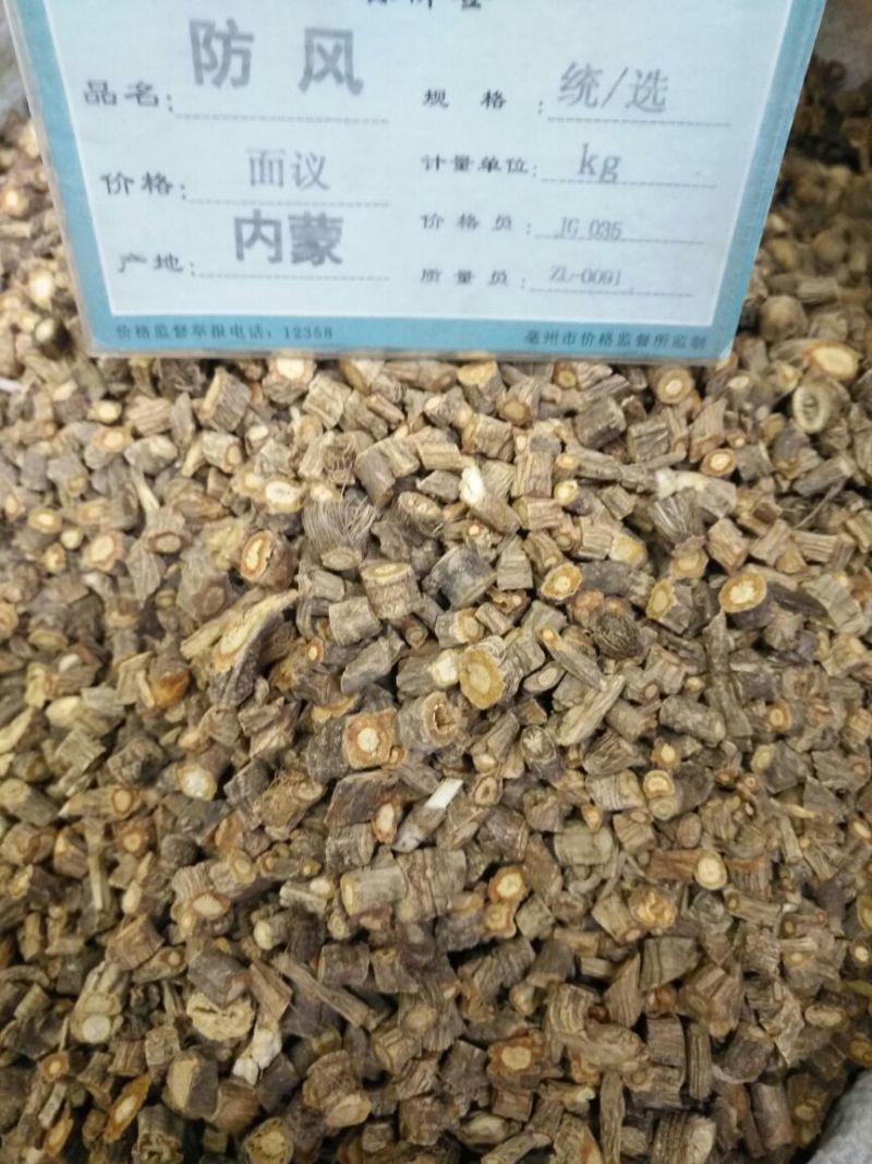 防风北防风野生防风内蒙1公斤起批无硫***包邮