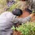 野生蜜，来自大山。天然无添加。