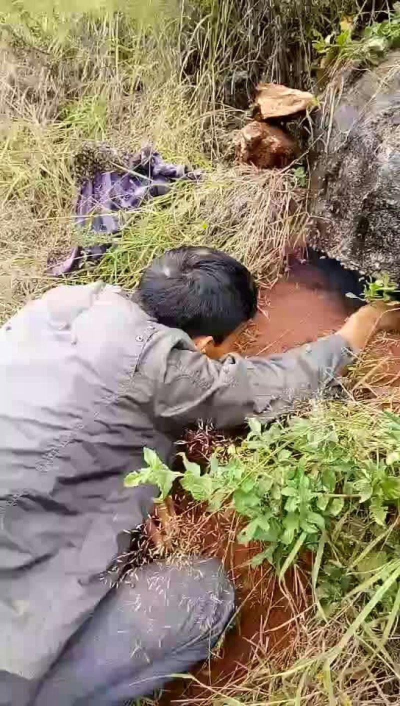 野生蜜，来自大山。天然无添加。