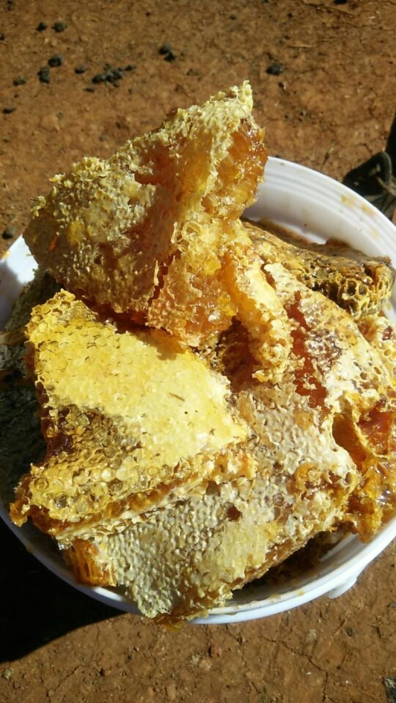 野生蜜，来自大山。天然无添加。