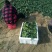 大叶菠菜20~25厘米