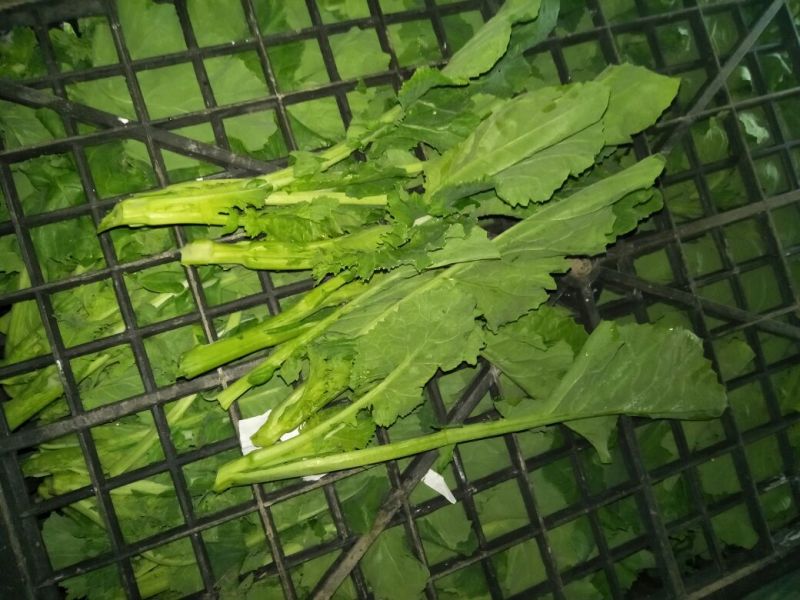 油菜苔10~15cm