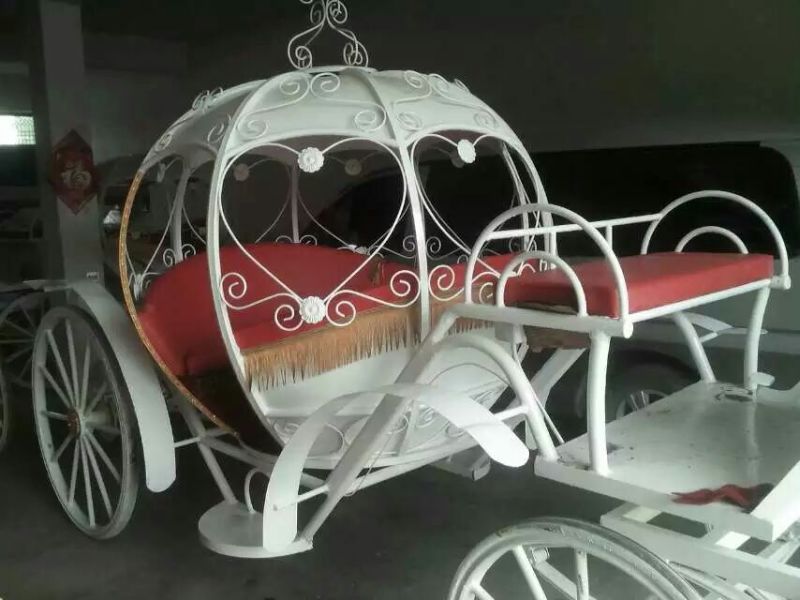 矮马精品设特栏，德宝，欢