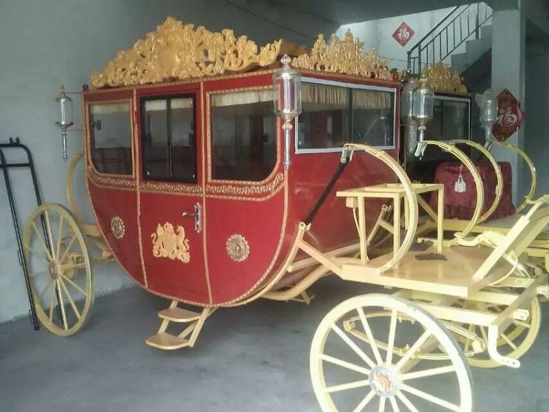 矮马精品设特栏，德宝，欢