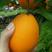 【精品】长虹脐橙“鹅蛋橙”产地直发一手货源批发品质好