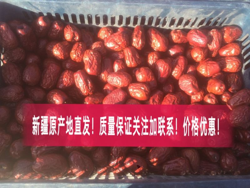 骏枣新疆大枣！产地直发