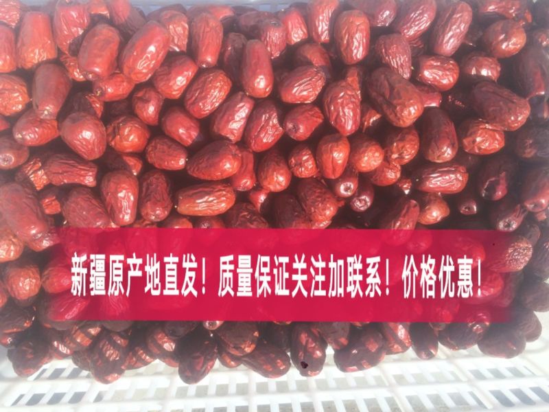 骏枣新疆大枣！产地直发