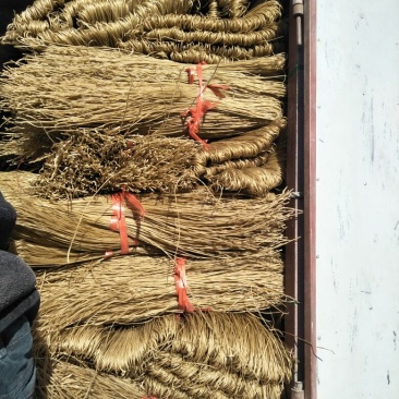 红薯粉条中粉，翟宽，中宽都有，一手货源，产地直供