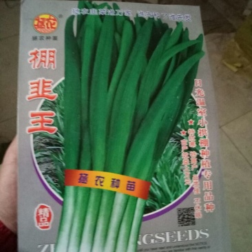 韭菜种子袋装