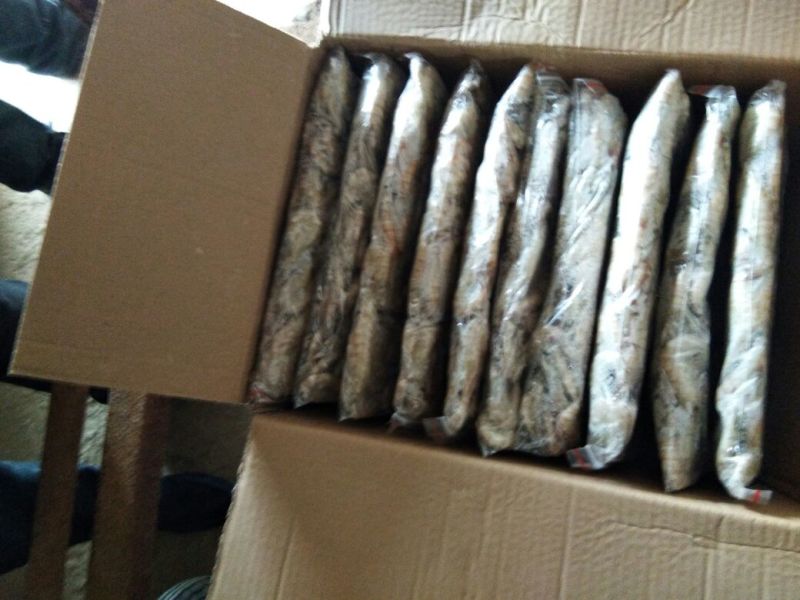 南美白对虾食用冻虾