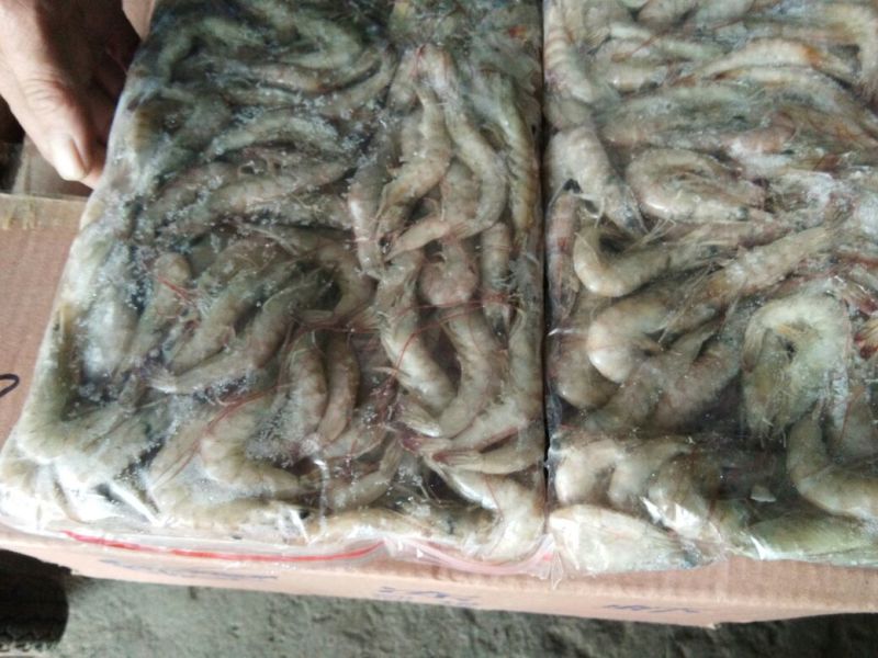 南美白对虾食用冻虾
