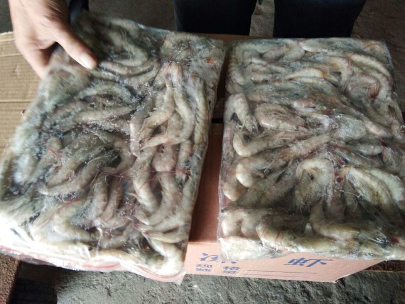 南美白对虾食用冻虾