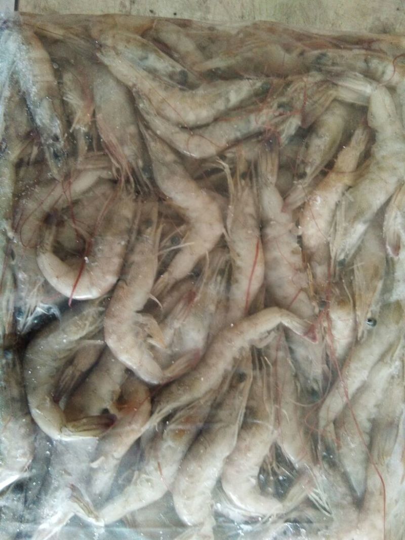 南美白对虾食用冻虾