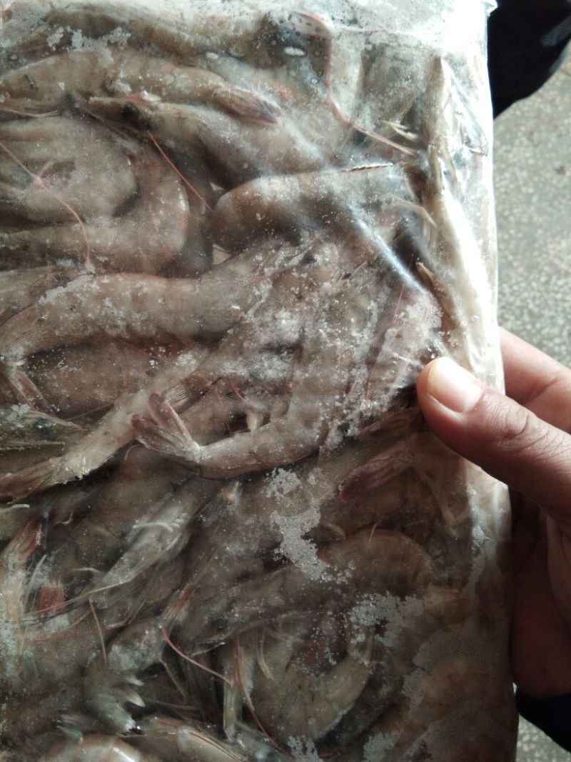 南美白对虾食用冻虾