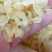 皂角米雪莲子