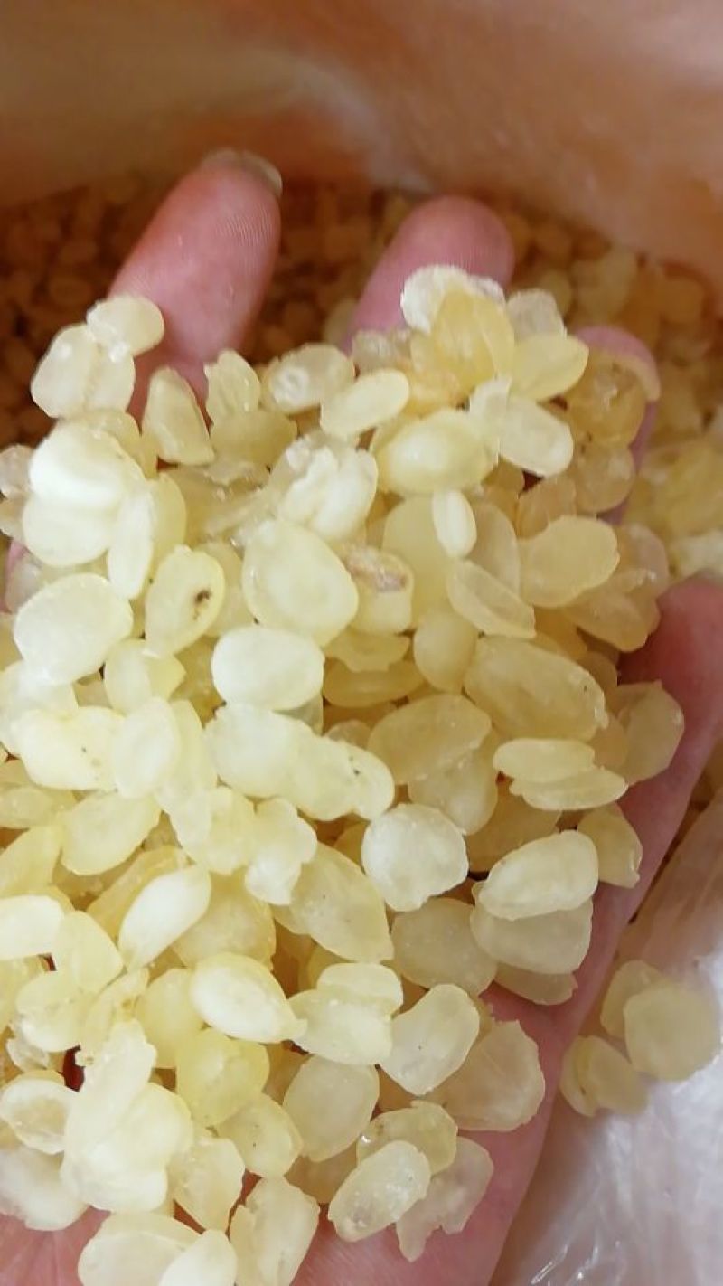 皂角米雪莲子