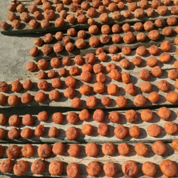 柿饼1~2两