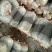 平菇菌棒23×53