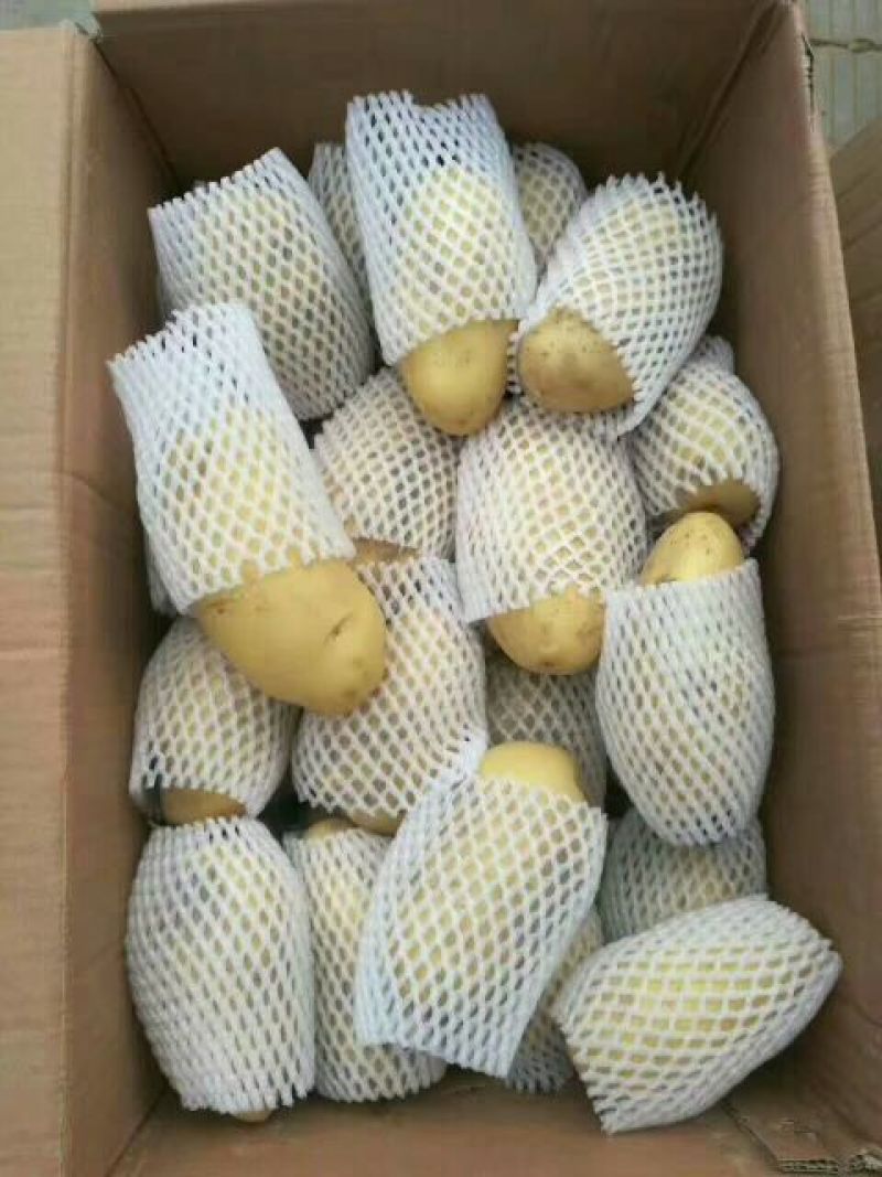 山东土豆，荷兰十五土豆产地直销，袋装，箱装，