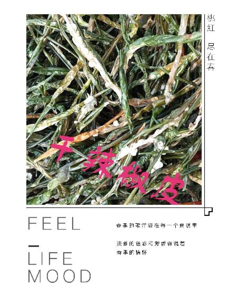干辣椒9成干以上精品