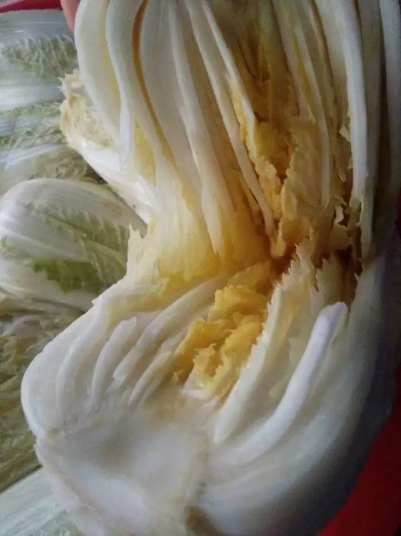 酸菜冷藏袋装