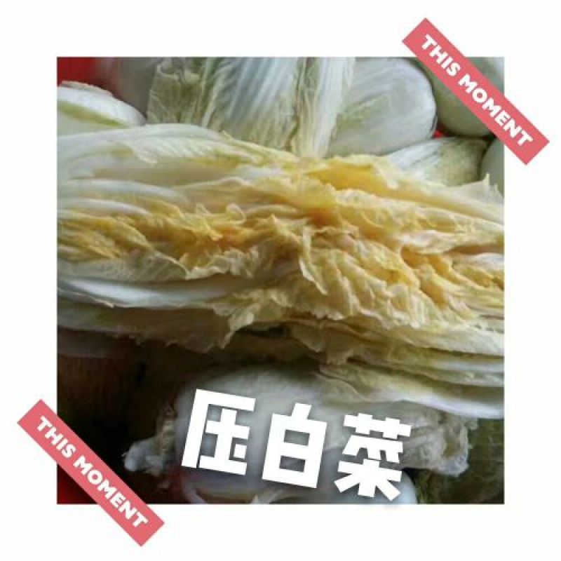 酸菜冷藏袋装