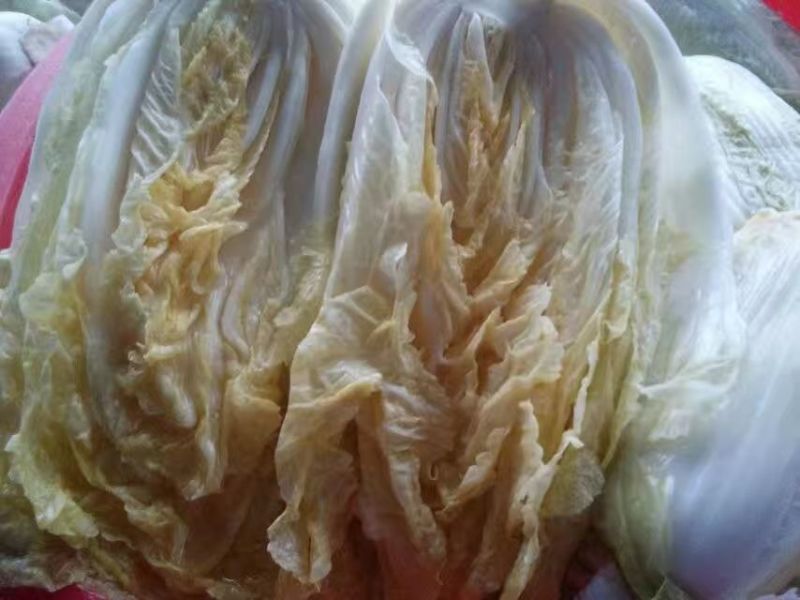 酸菜冷藏袋装