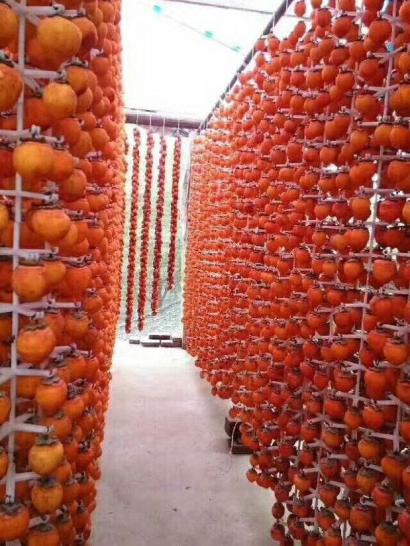 柿饼1~2两