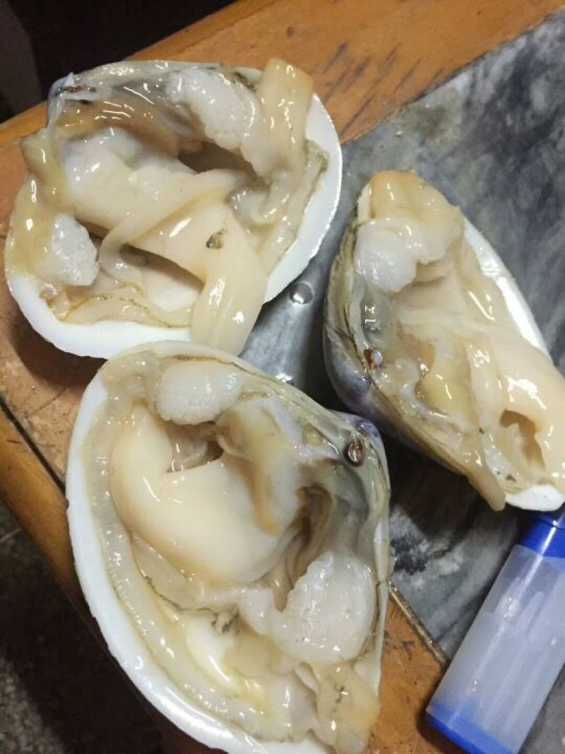 七彩贝