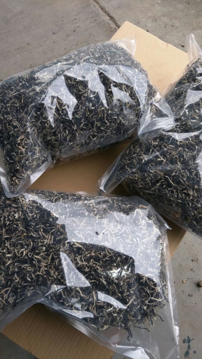 木耳丝，白背木耳丝黑木耳丝，味千拉面木耳丝