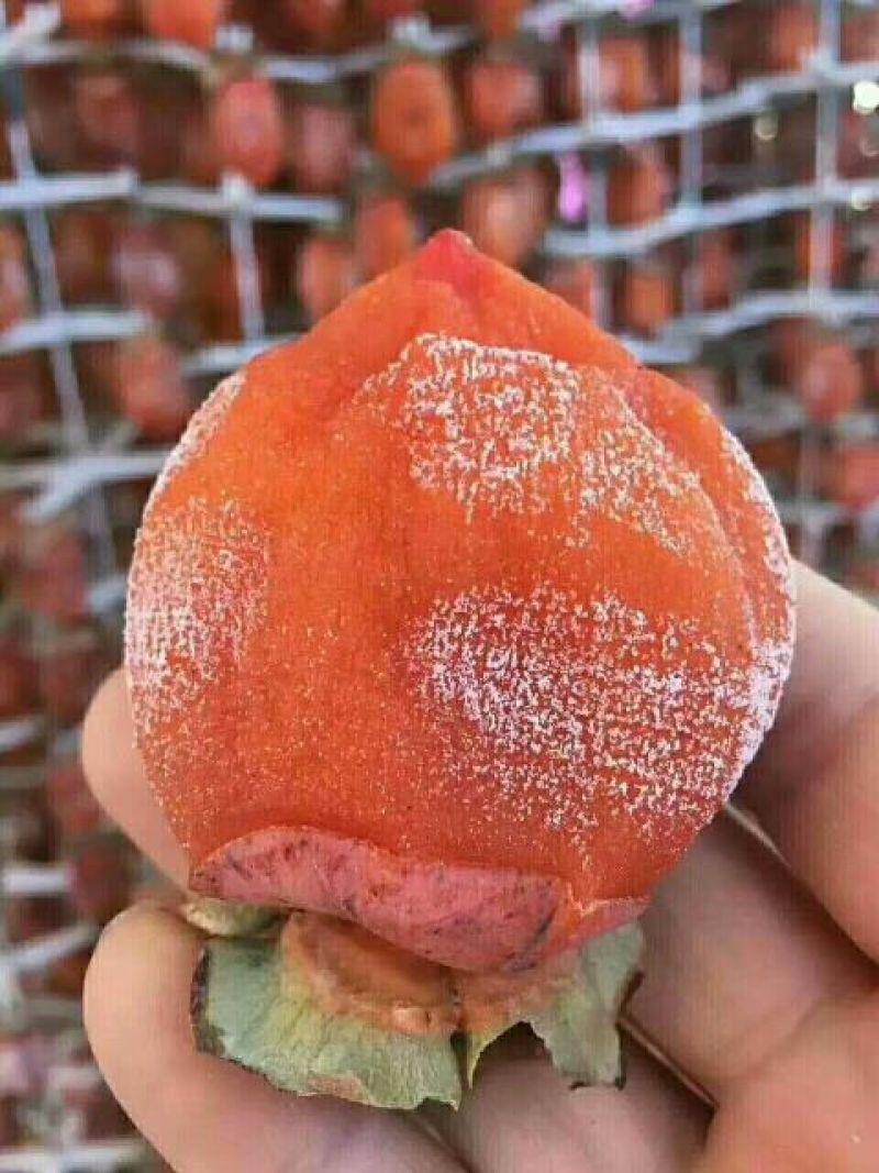 柿饼1~2两